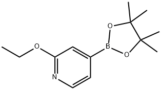 PYRIDINE, 2-ETHOXY-4-(4,4,5,5-TETRAMETHYL-1,3,2-DIOXABOROLAN-2-YL)- Struktur