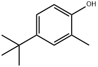 4-TERT-BUTYL-2-METHYLPHENOL