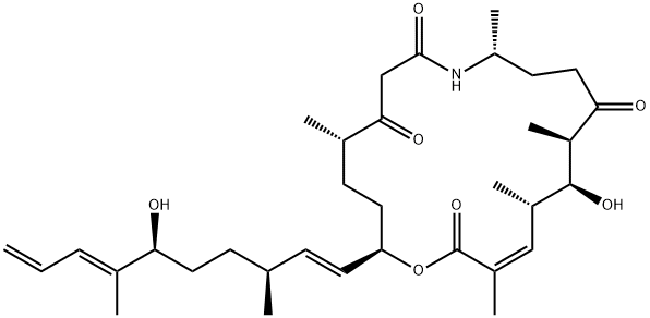 angiolam A Struktur