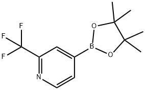 2-(TRIFLUOROMETHYL)PYRIDINE-4-BORONIC ACID PINACOL ESTER Struktur