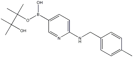 6-(4-METHYLBENZYLAMINO)PYRIDINE-3-BORONIC ACID PINACOL ESTER Struktur