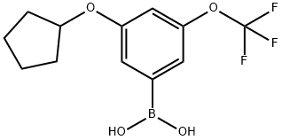 3-(Cyclopentyloxy)-5-(trifluoromethoxy)phenylboronic acid Struktur