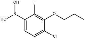 4-Chloro-2-fluoro-3-propoxyphenylboronic acid|4-Chloro-2-fluoro-3-propoxyphenylboronic acid