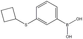 3-(Cyclobutylsulfanyl)phenylboronic acid Struktur