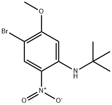 4-Bromo-N-t-butyl-5-methoxy-2-nitroaniline Struktur