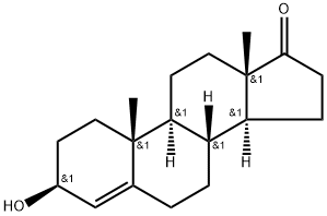 4-Androsten-3b-ol-17-one