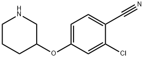 2-CHLORO-4-(3-PIPERIDINYLOXY)BENZONITRILE Struktur