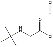 2-[(tert-Butyl)amino]acetyl chloride hydrochloride Struktur