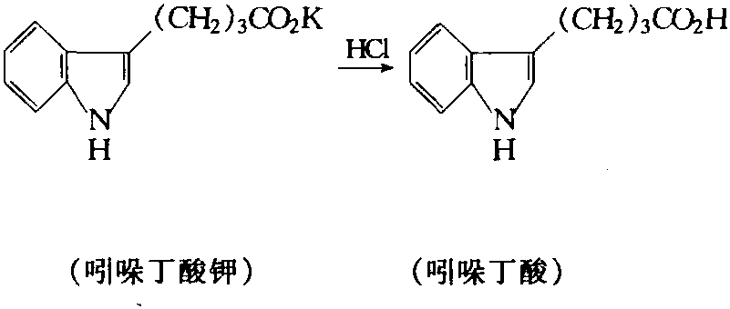 吲哚制備吲哚丁酸反應方程式二