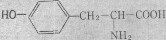 酪氨酸 結(jié)構(gòu)式