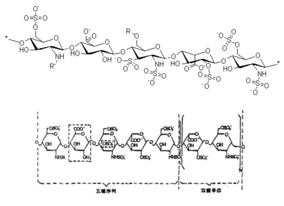 肝素鈉的分子結(jié)構(gòu)