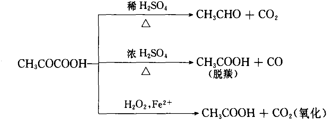 丙酮酸發(fā)生脫羰、氧化反應(yīng)