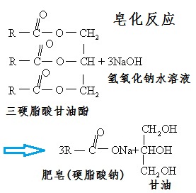 天然油脂皂化反應(yīng)制備硬脂酸鈉