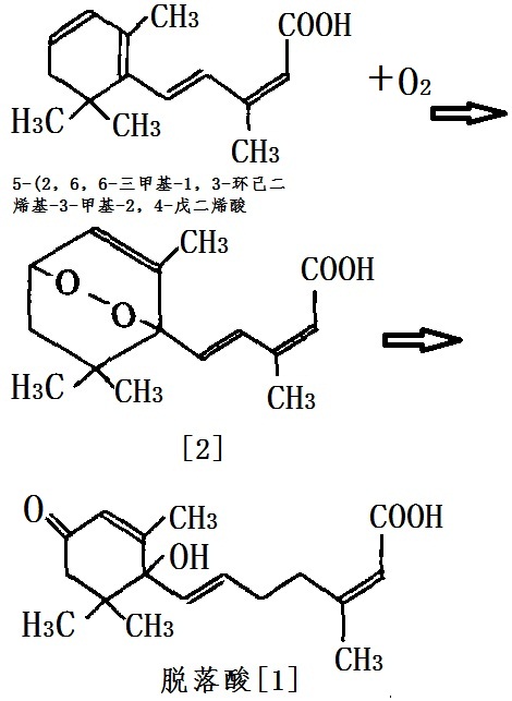 人工合成脫落酸化學(xué)反應(yīng)路線(xiàn)圖