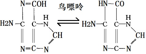 鳥嘌呤的分子結(jié)構(gòu)