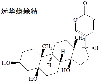 遠(yuǎn)華蟾蜍精 結(jié)構(gòu)式