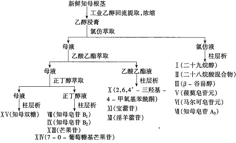 知母組分