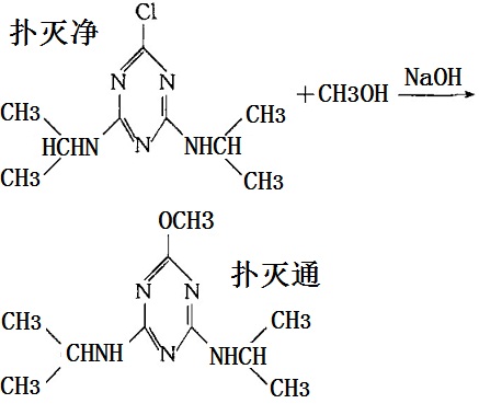 撲滅凈與醇反應(yīng)制得撲滅通的化學(xué)反應(yīng)路線圖