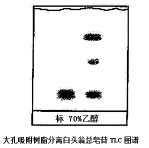 大孔吸附樹脂分離白頭翁總皂苷TLC圖譜