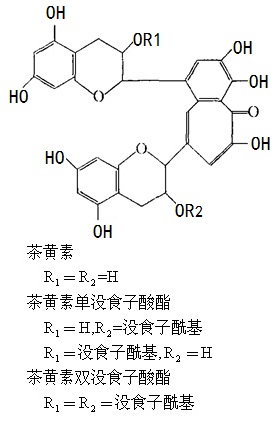 紅茶中的茶黃素類化合物結(jié)構(gòu)式