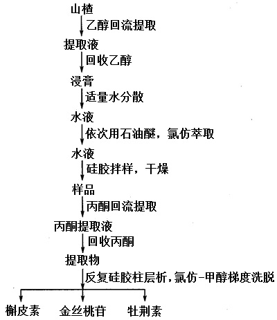 槲皮素、金絲桃苷、牡荊素提取分離