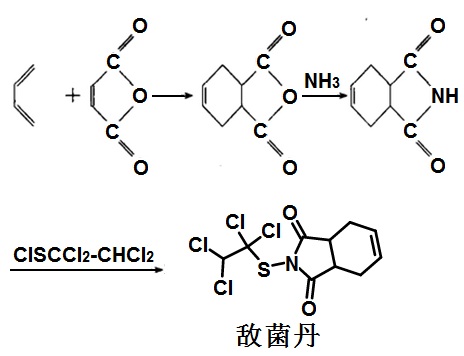 敵菌丹的合成路線