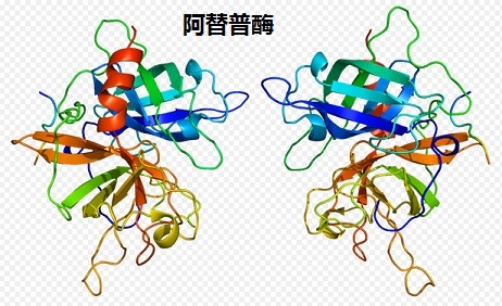 阿替普酶 3D螺旋結(jié)構(gòu)