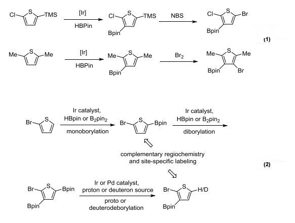 iridium catalyzed reaction