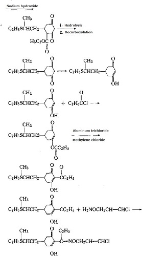 preparation of Clethodim