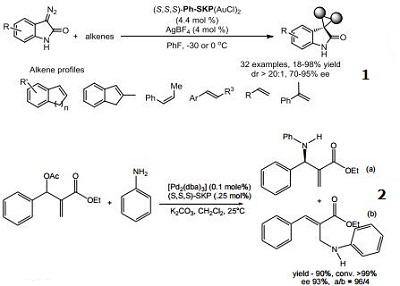 Reactions of 1360823-43-3