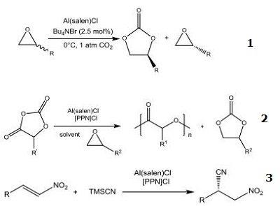 Reactions of 250611-13-3_1