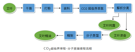 艾草精油的提取工藝