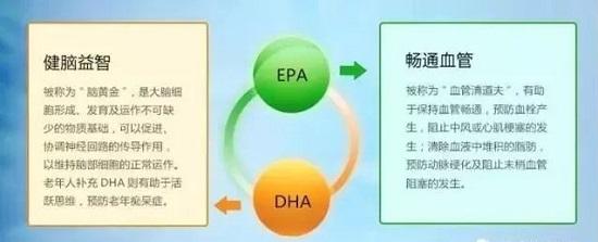 α－亞麻酸(ω-3)的強(qiáng)大作用