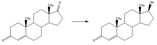 睪酮的生物合成2