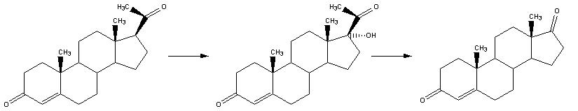 	睪酮的生物合成1