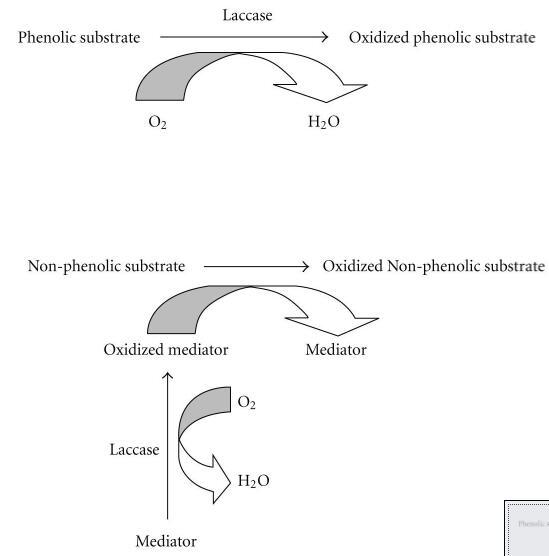 Fig. 1.jpg