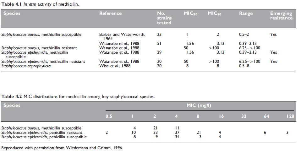 Table 4.1.jpg