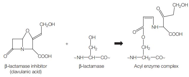 Figure 14.2.jpg