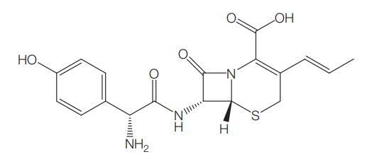 Figure 21.2.jpg