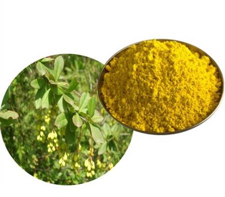 Berberine hydrochloride.jpg