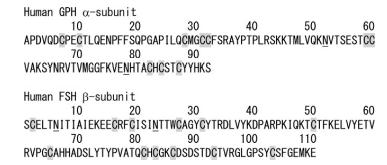 Gene, mRNA, and precursor