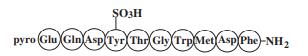 Structure of Caerulein