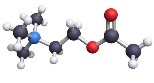 Acetylcholine.jpg