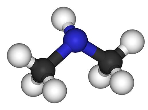 dimethylamine.png