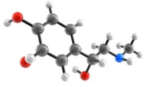 L(-)-Epinephrine.jpg