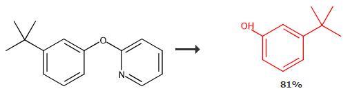 3-叔丁基苯酚的合成路線(xiàn)