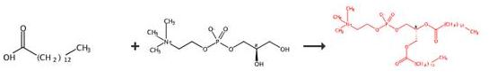 二肉豆蔻酰磷脂酰膽堿的合成路線