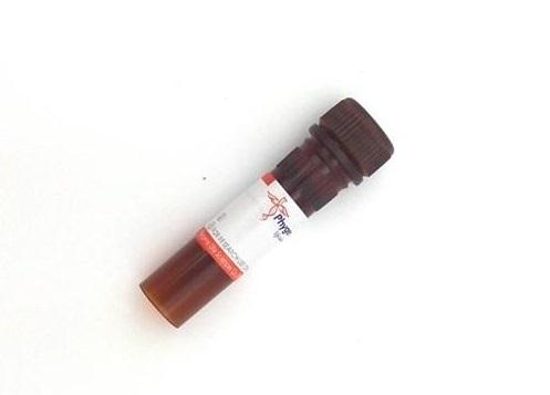 異硫氰酸熒光酯素的產(chǎn)品圖.jpeg
