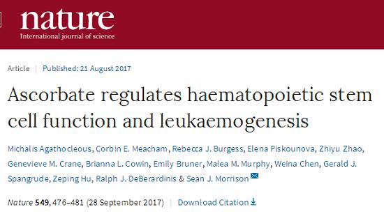 維生素C調(diào)節(jié)造血干細(xì)胞功能和白血病發(fā)生
