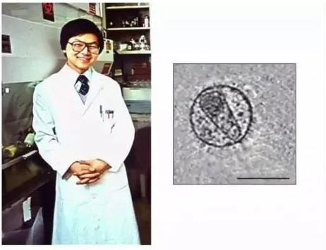 何大一博士和他當(dāng)時(shí)的研究圖片